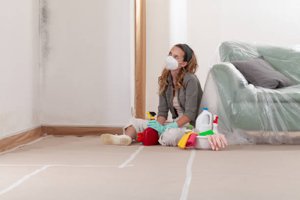 Trusted Commercial Mold Remediation service in Bellevue, IL - WQB Mold Removal
